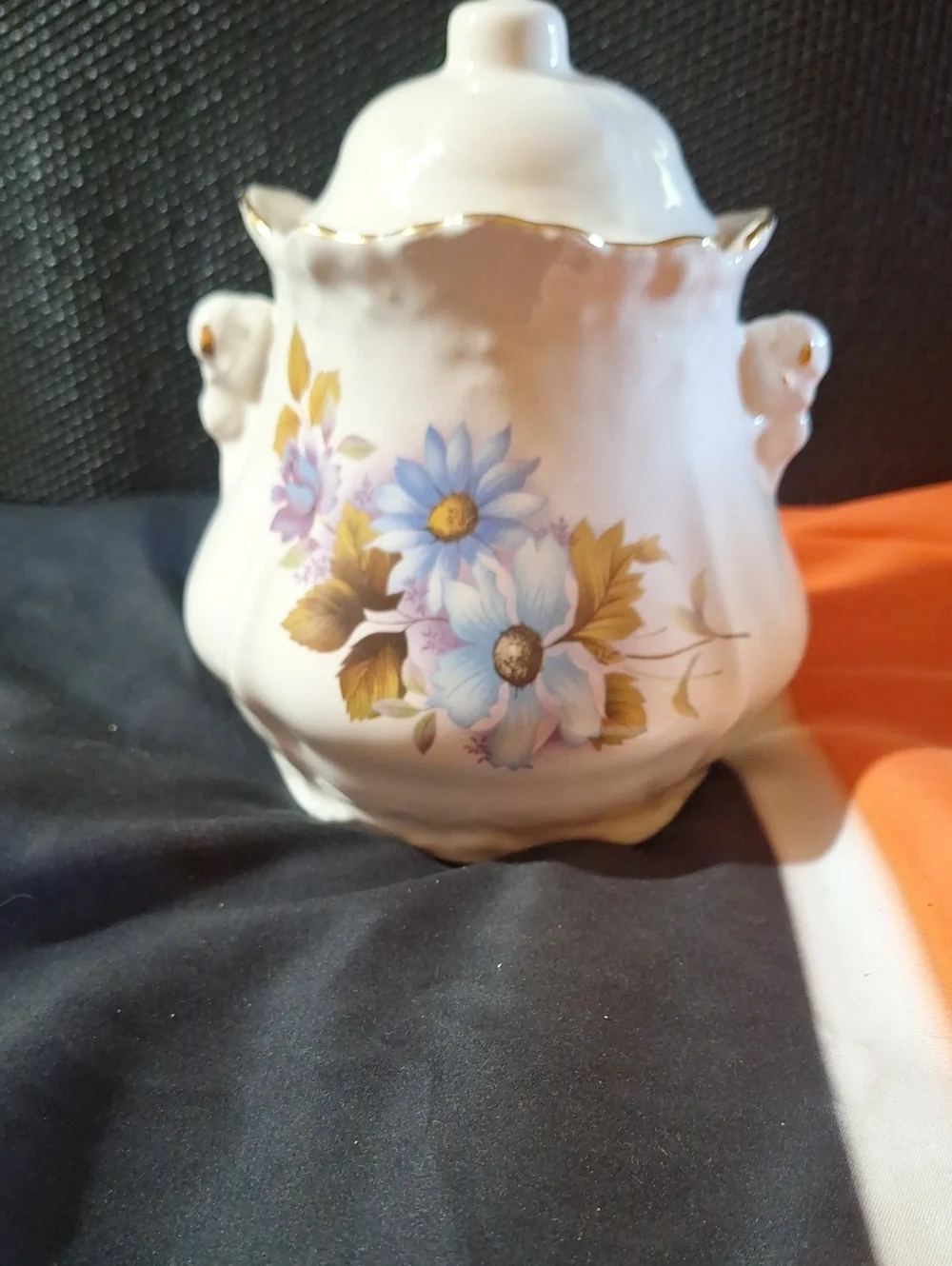 Vintage Biscuit Ceramic Floral Canister with Lid - White & Blue
